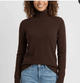 Fireside Fitted Turtleneck Sweater